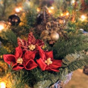 2025年12月お知らせ_1